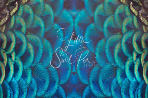 2110 - Peacock Feathers